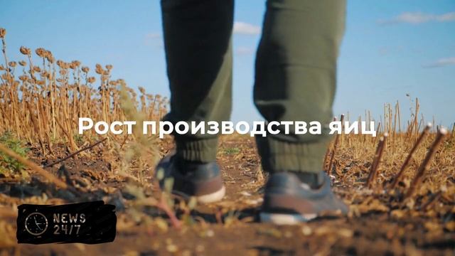 Минсельхоз предложил зафиксировать цены на яйца