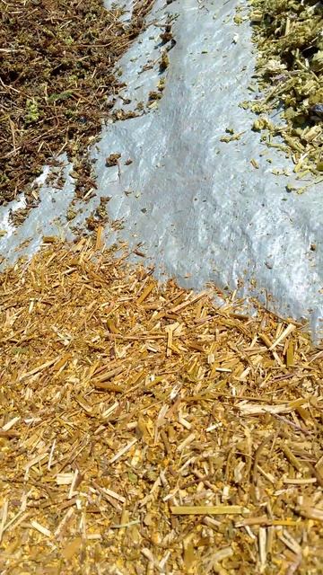 Делаем травяной чай3.mp4