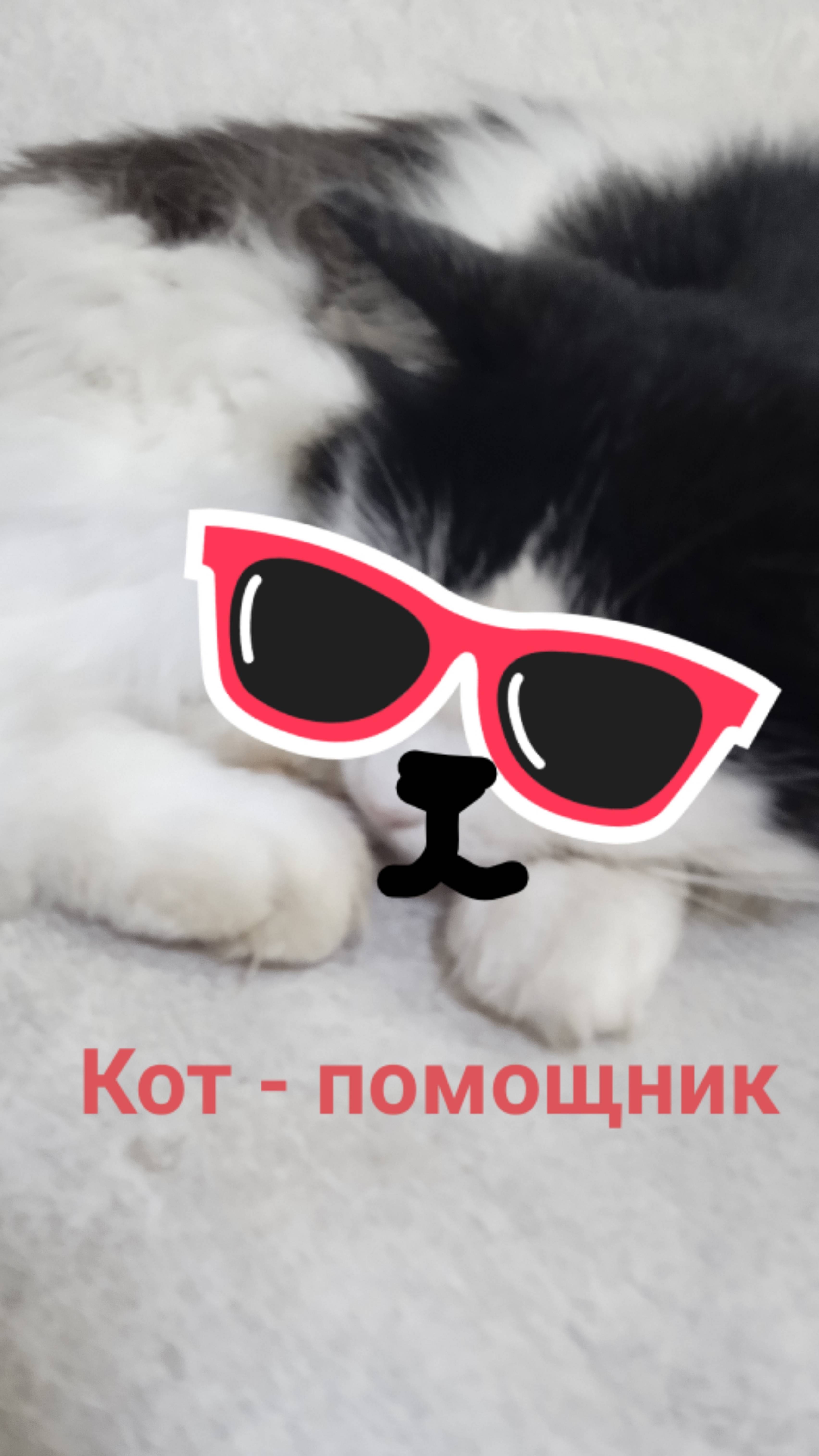 Ветеренарный помощник : Котофей Иванович помогает животным не боятся ветеренара)
