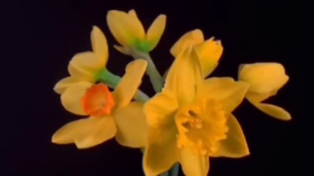 Так было всегда
(Взял бы туже самую любовь)