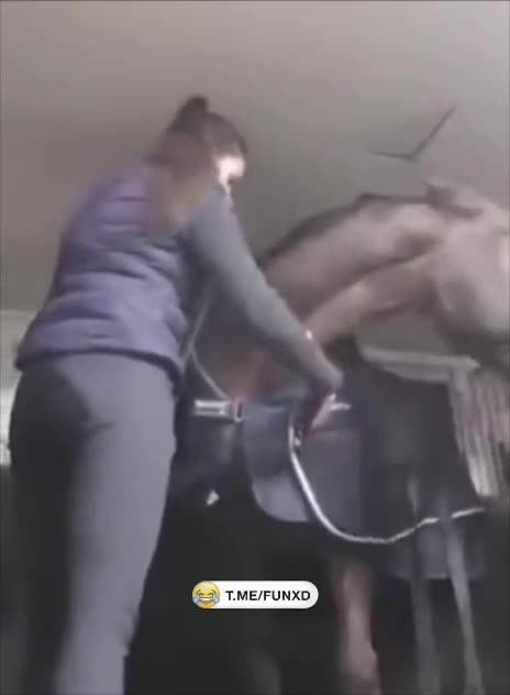 Когда ты хорошо знаешь свою лошадку😆
