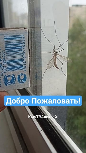 Приезжайте к нам в Якутск!