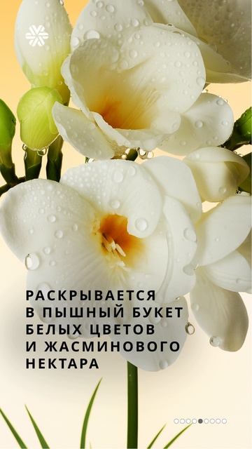 🌸 ️White Flowers & Honey Intense - ароматное лето на вашей коже ❄ Сибирское Здоровье #sw #парфюм