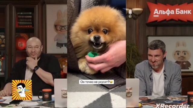 Нельзя смеяться смех с водой CHATGPT Генич Баженов