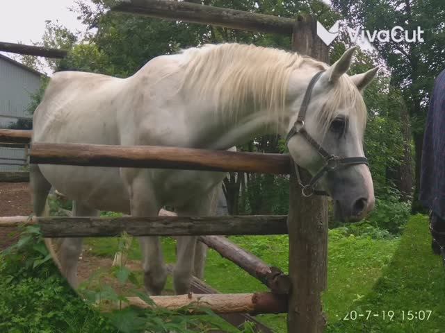 Воспоминания об июне 2020 года_HD.mp4