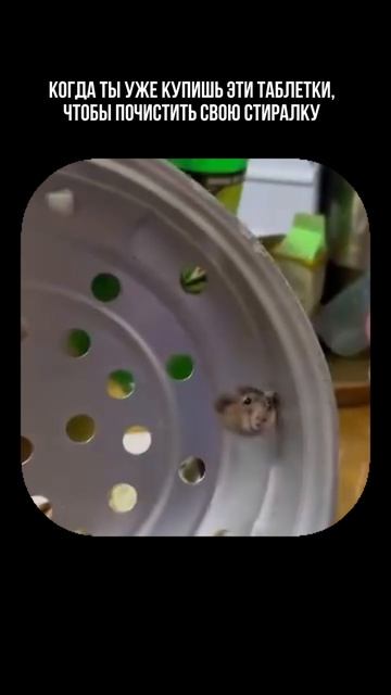Что ты тянешь?
