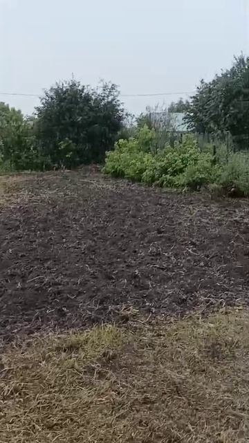 1000068622.mp4