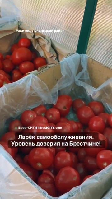 Ларёк самообслуживания в Беларуси. Вот это уровень доверия 🥰 !!!