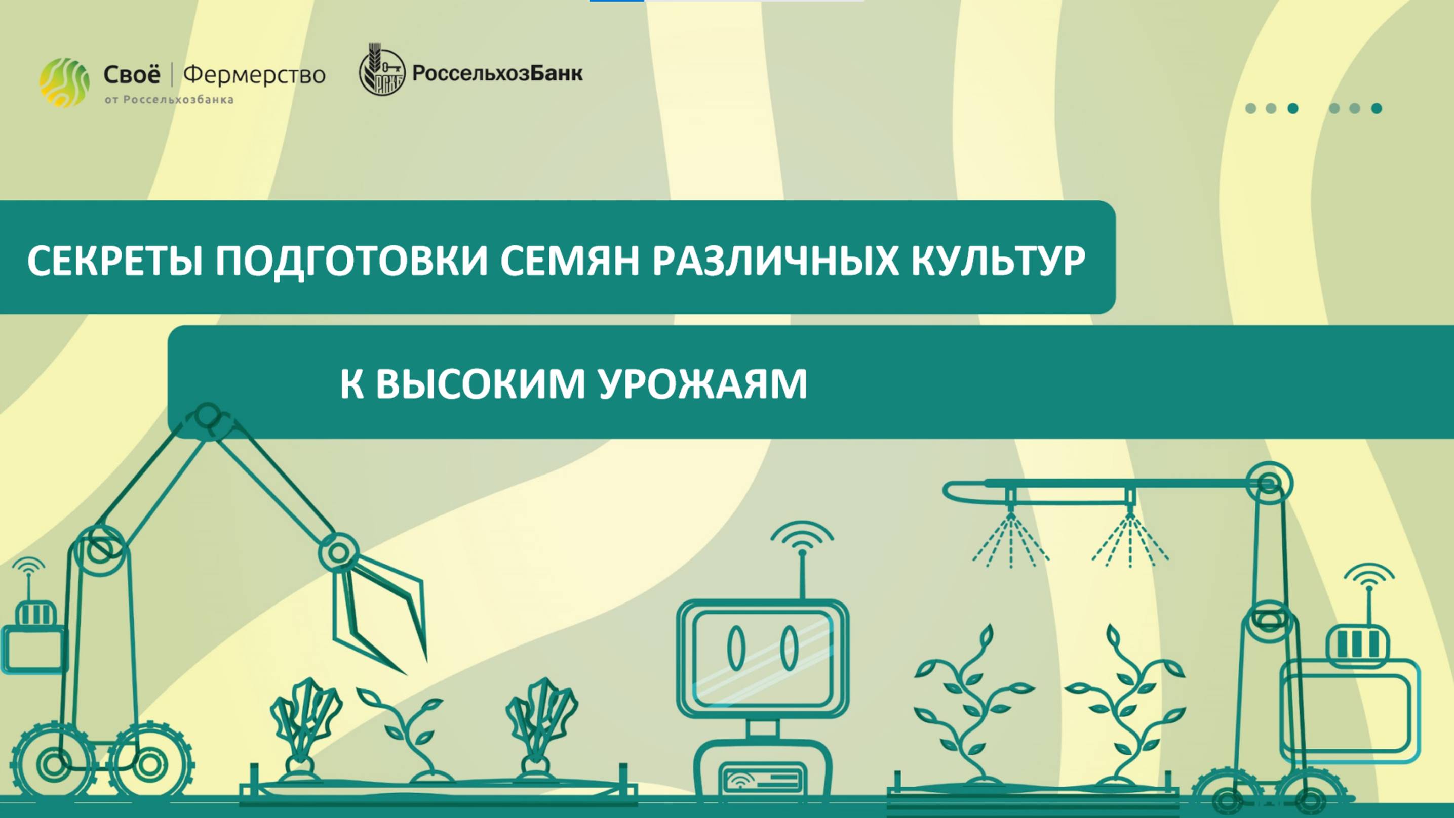 Секреты подготовки семян различных культур к высоким урожаям