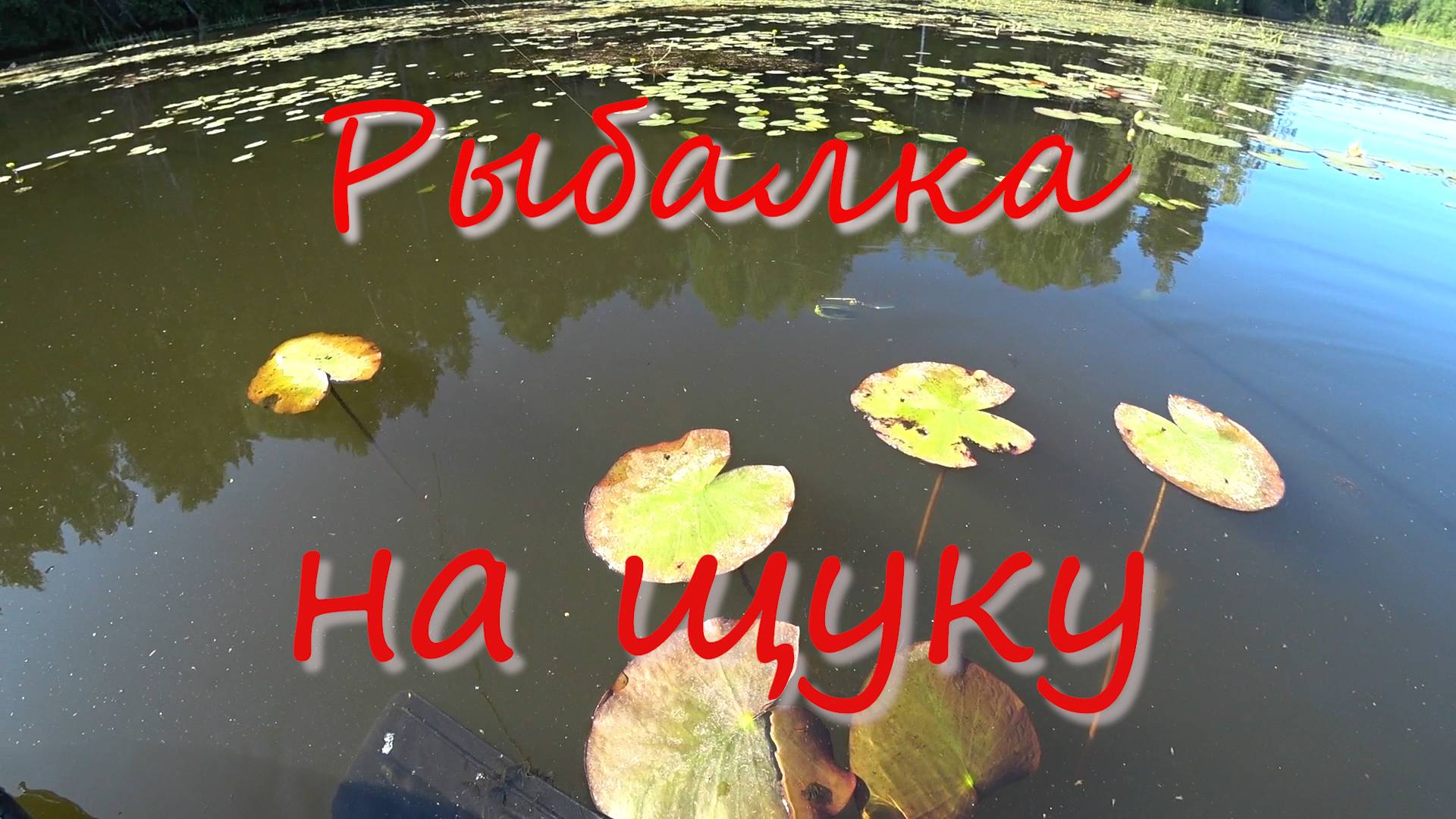 ВООБЩЕ не верил в него! Мышом выманил, а ИМ добил! Рыбалка на щуку