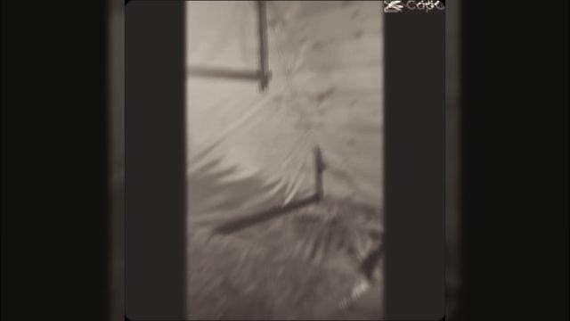 1000029315.mp4 (Собака наблюдает за креплением имитации бруса внутри дома А-фрейм)