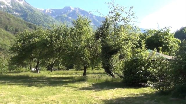 Спокойные, первый тренировочный лагерь . 12-19 июля - Сочи - Красная Поляна