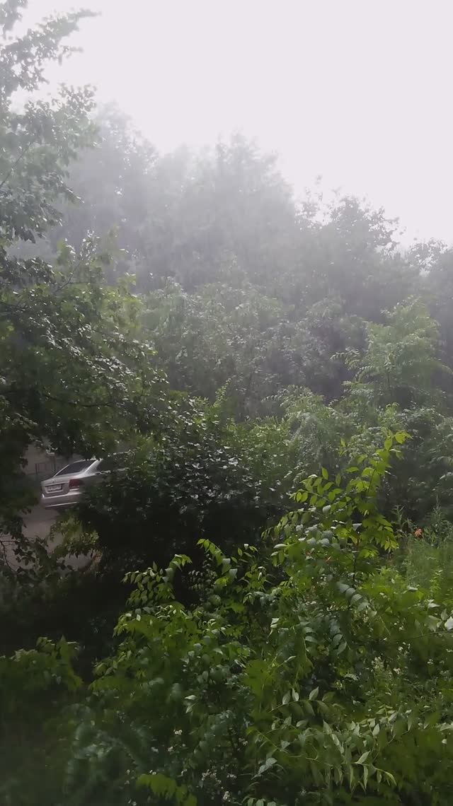 Отражение внутренних осознаний человека в природе 🤣