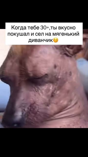 Жизненно 🥲😅😅