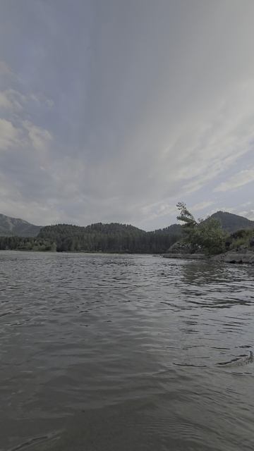 Манжерок, Алтай