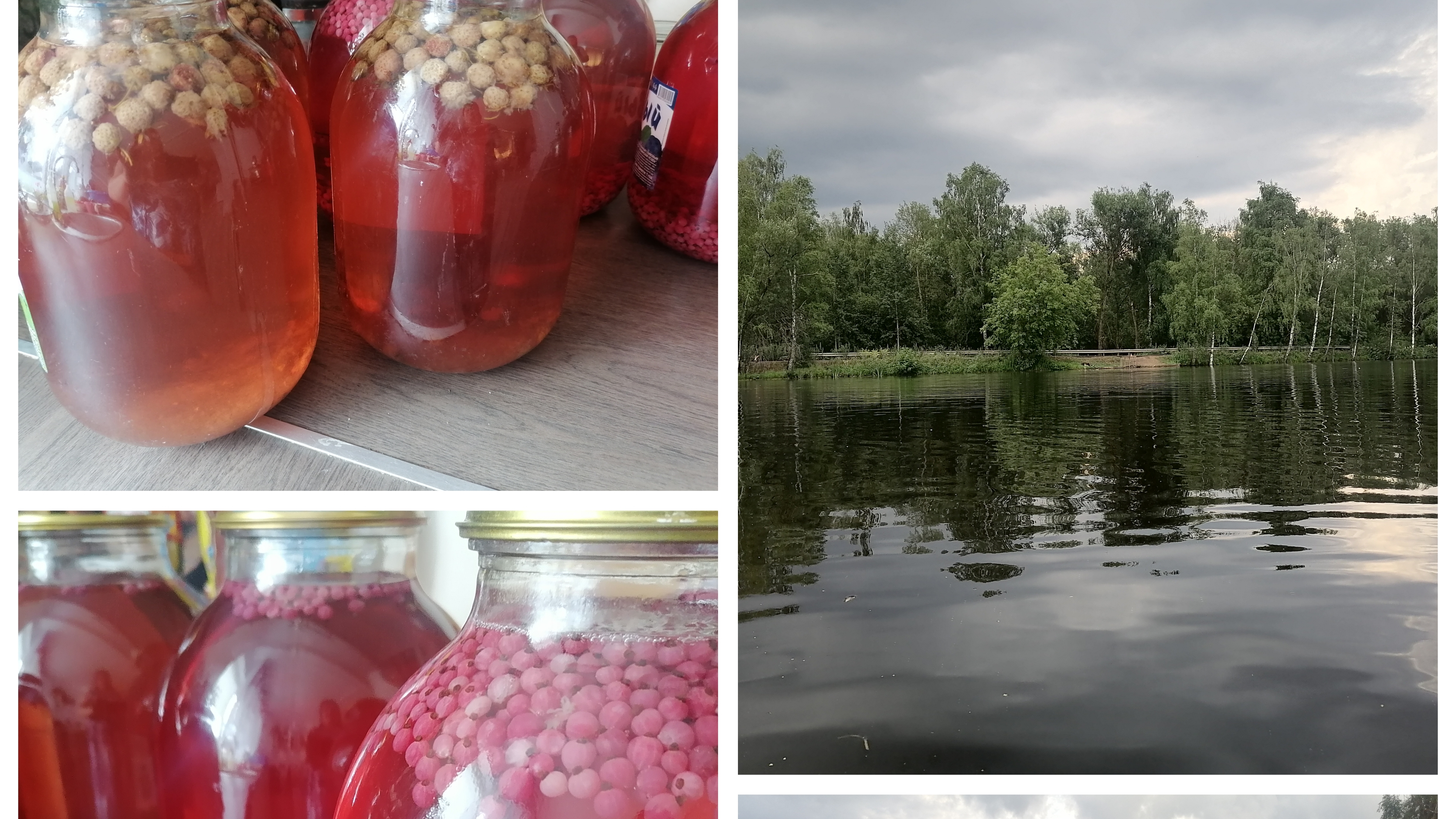 Поездка на озеро, компот из земляники садовой и красной смородины 😉🍓🫖