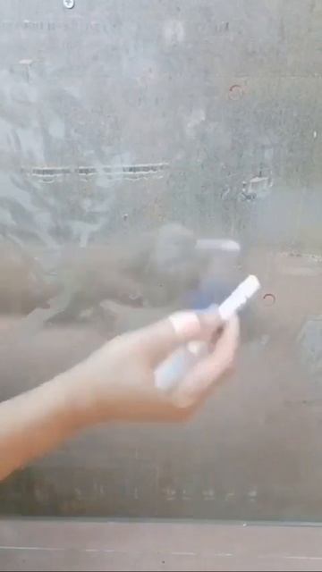 Ссылка на товар здесь: https://t.me/+DN-o8L9MWfs3MzEy