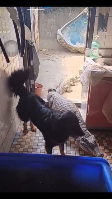 Я пришёл с друзьями