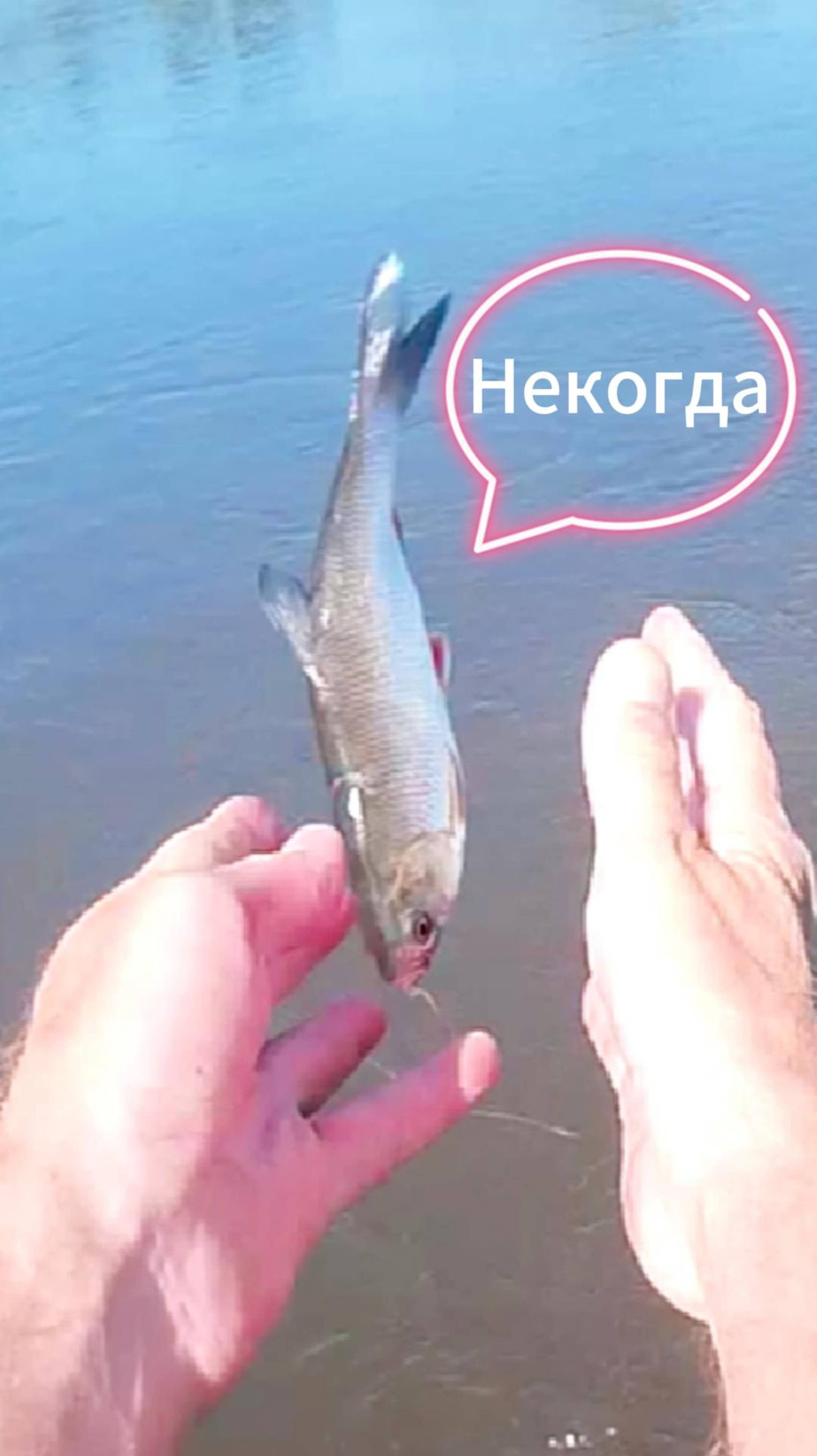 Коряги, моторка, меляк… но Трюльник поймал!