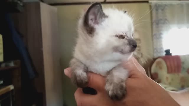 Еще немного и ослеп бы!
