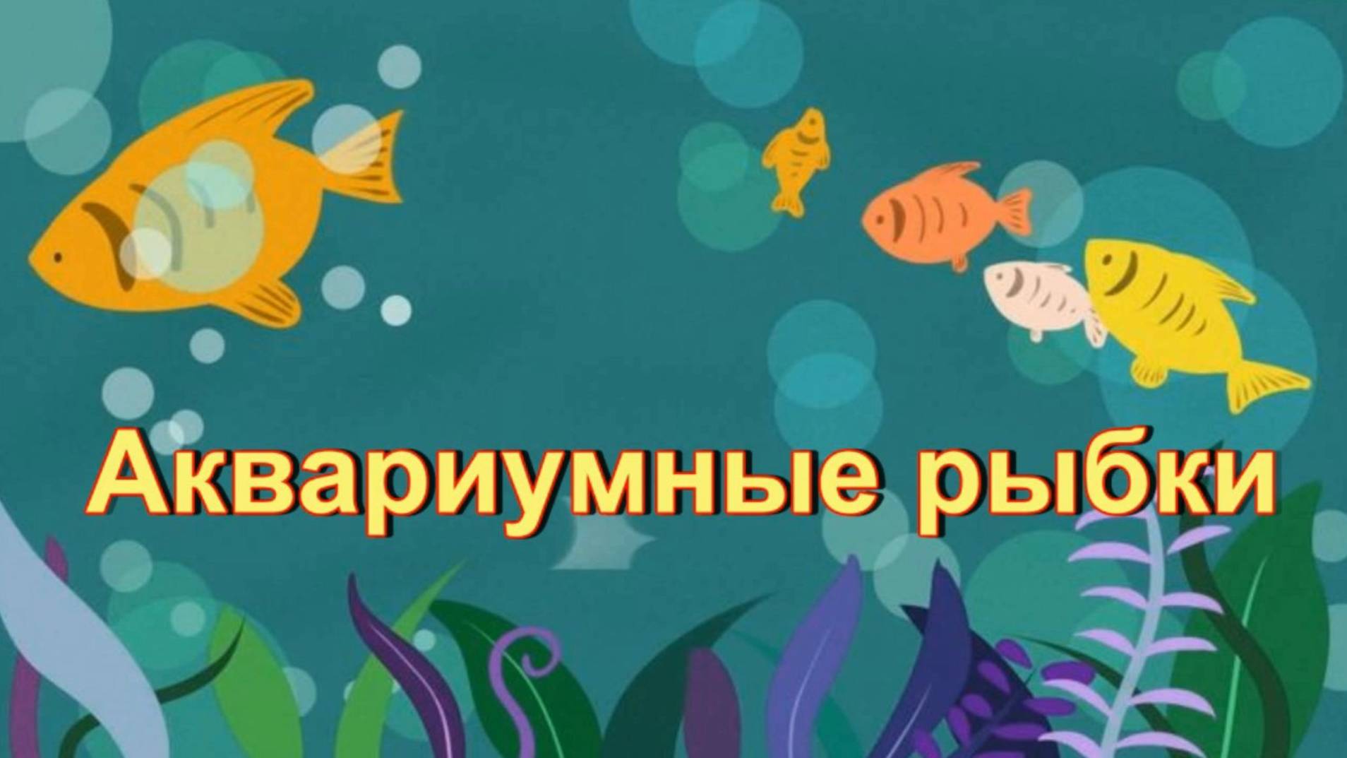 Аквариумные рыбки. Удивительные обитатели вашего подводного мира.