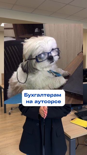 Коробочная 1С или облачная 1С? В этом ролике мы ответим на этот вопрос #юридическиесоветы #1c