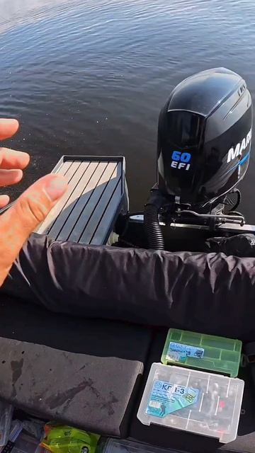 по пассивному судаку в жаркий полдень ##blackbaitsfish  #рыбалка #отдых