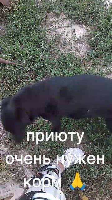 +7985 193 0027 сбер элплат