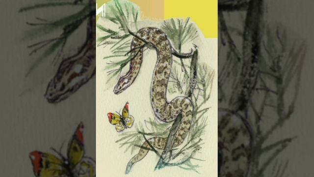 Охотник и его жена. Русская народная сказка из сборника Афанасьева.