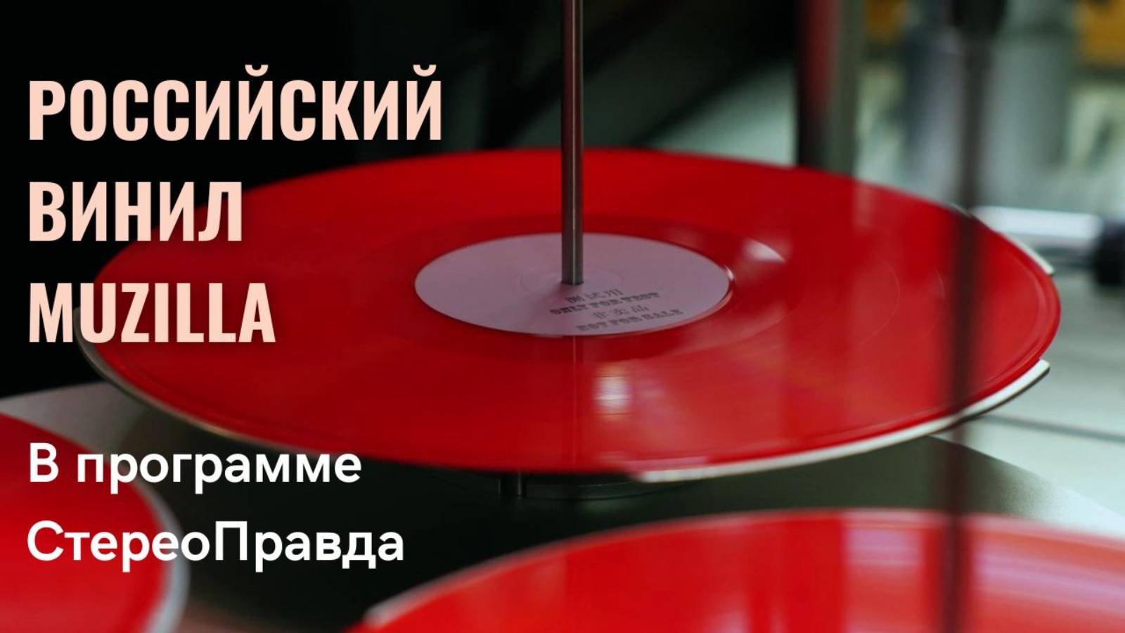 Русский винил. Интервью с владельцем компании Muzilla в программе "СтереоПравда с Мишей Кучеренеко"