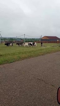 Домой с Махамантрой 10.07.25