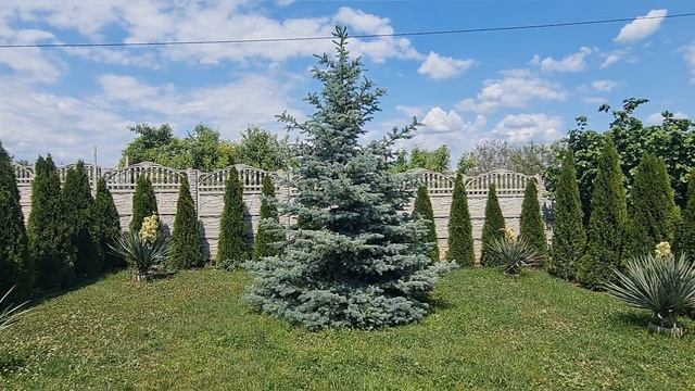 Покраска крыш в Крыму