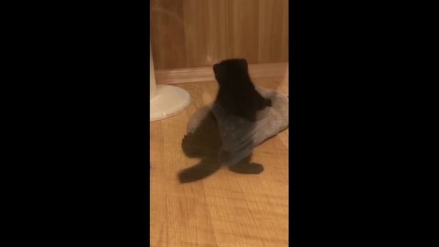 А так мило все начиналось...