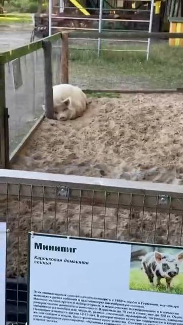 1000044070.mp4