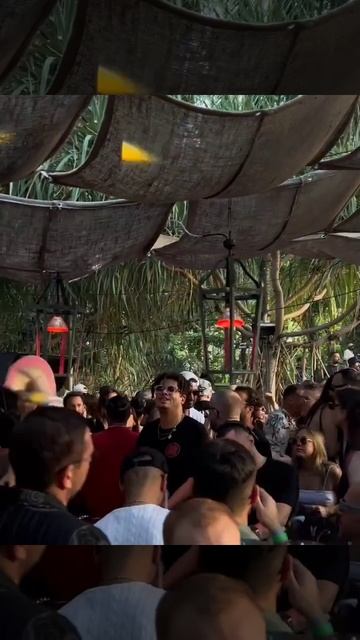 Epic B2B Showdown: Joseph Capriati, Seth Troxler & Chris Stussy Take Over Baba Jungle! 🎶🌴