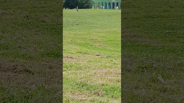 Гонки на время (пешком)