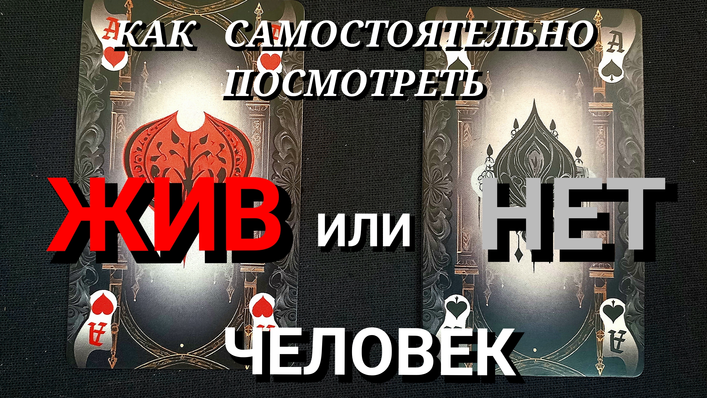 ЖИВ   ИЛИ   НЕТ