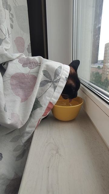 Утренний сушняк