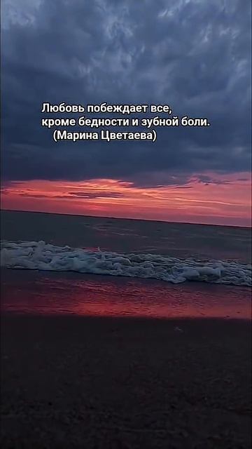 #МаринаЦветаева#литература#вдохновение #выбор #боль #афоризмы