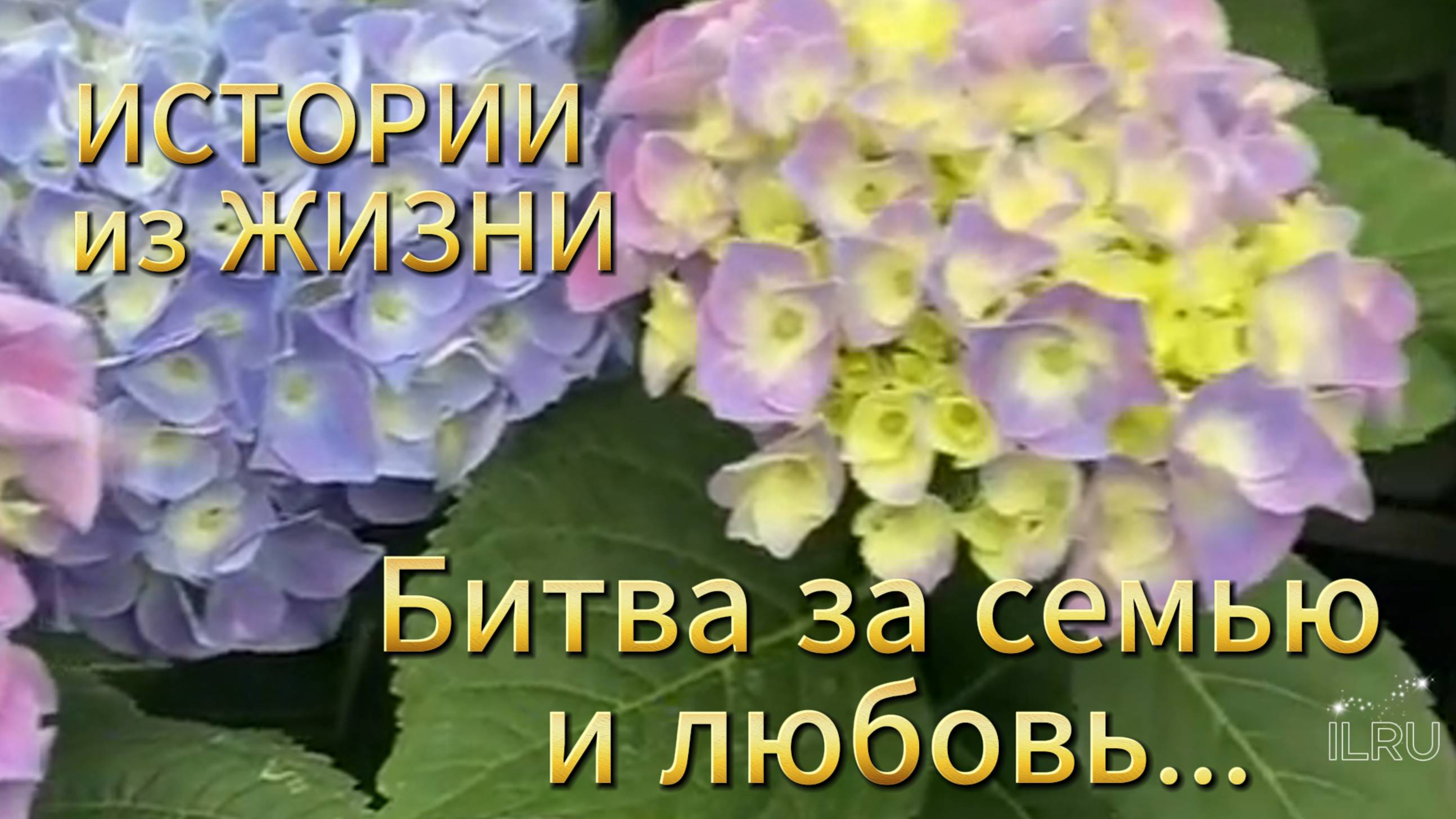 Истории из жизни|Битва за любовь и семью|Аудио рассказы|Аудиокниги слушать онлайн|Жизненные истории