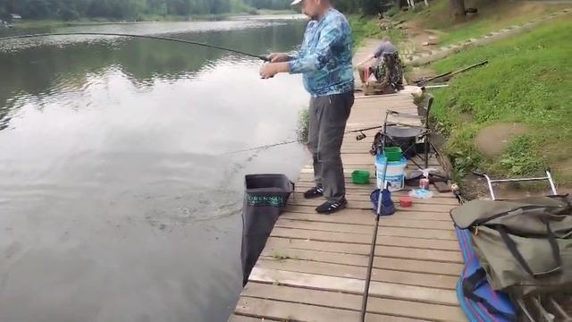 Осётр с дальней дистанции