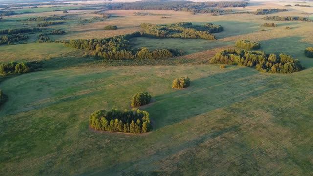 Поля. Алапаевский р-н. с. Деево (2К)