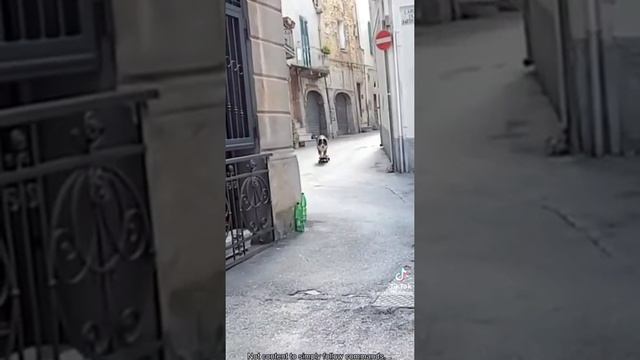 Наши лучшие друзья
