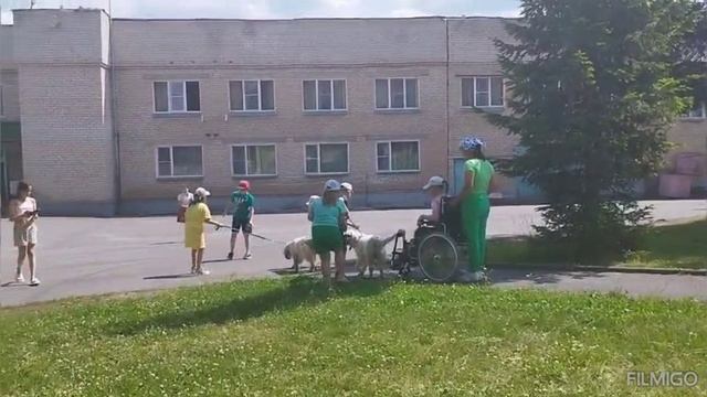Ретривер Д. Р. 3 декабря 2024г.