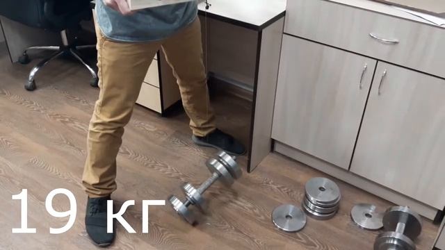 11. Сравнение березы и хвои