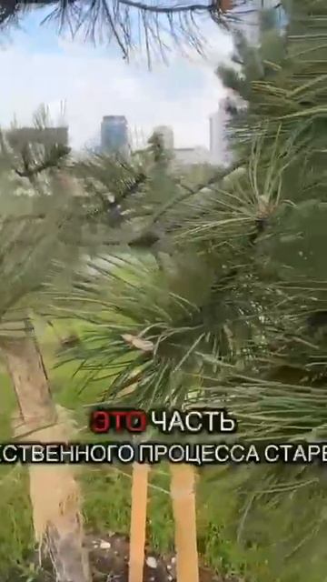 1000107158.mp4