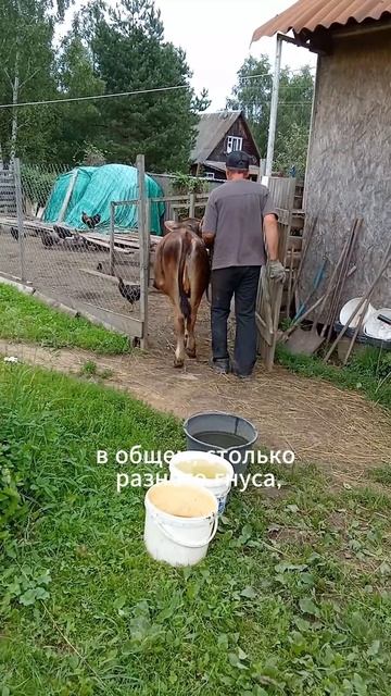 Обычный день