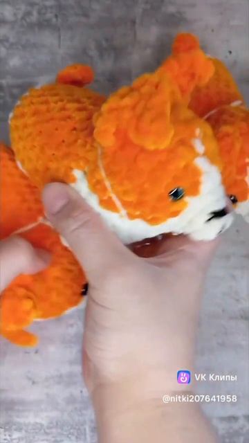 корги