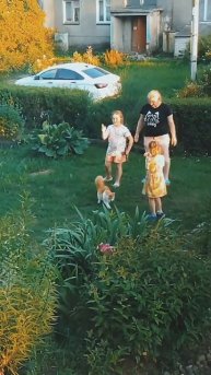 Муся изучает территории возле дома...