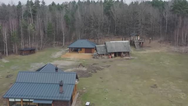 Релакс. Райскоя Жизнь домашних животных  на свободе в лесу...